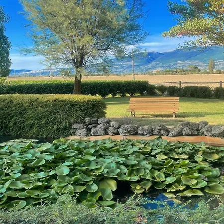 4 Double Bedrooms - Charming With Pool * Limiti (Umbria)
